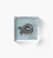 Bird Nest Acrylic Block