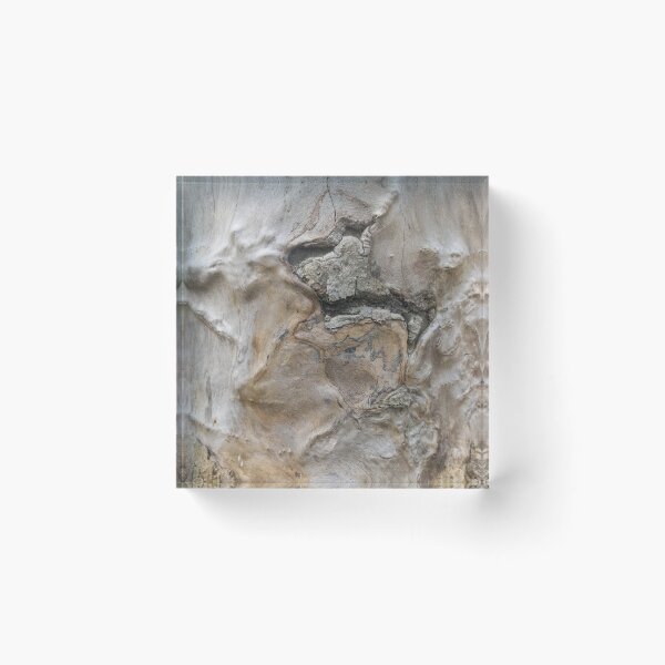 Item preview, Venice Wooden Abstract designed and sold by Treebarkart.