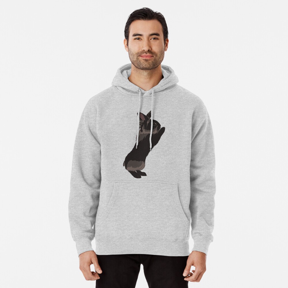 "She Push" Pullover Hoodie by CausticeIchor Redbubble