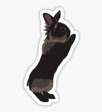 She Push Sticker
