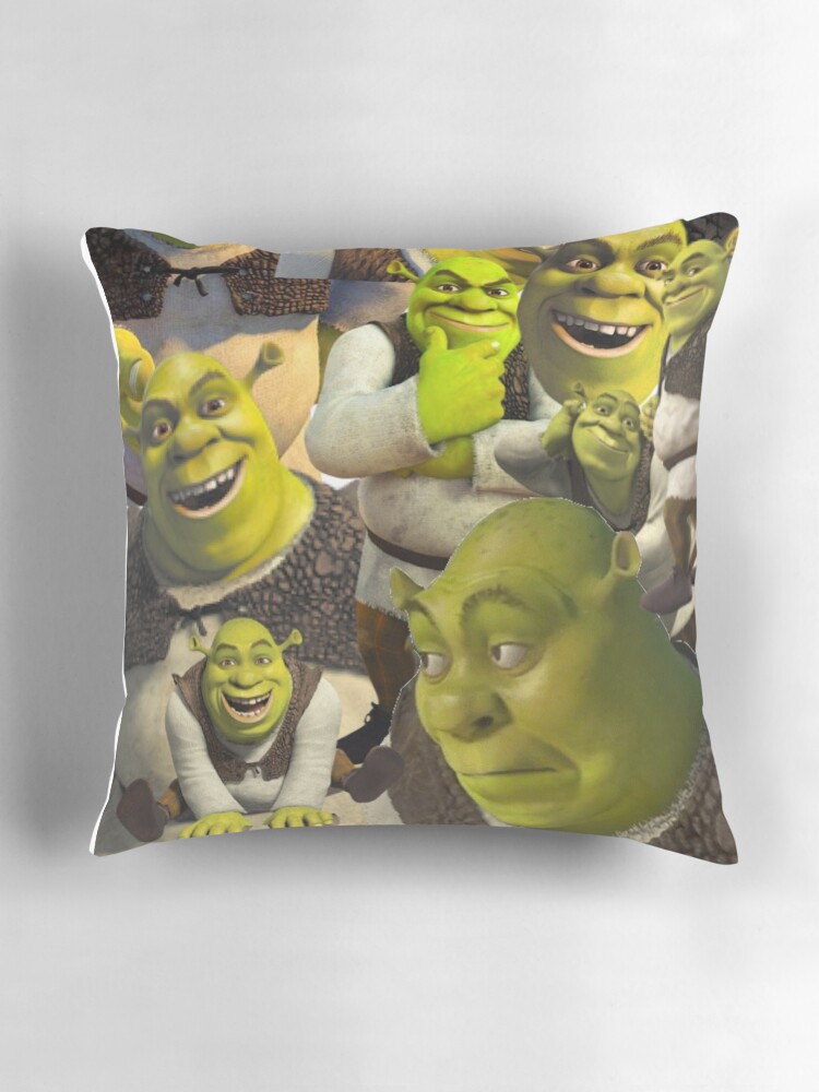 Shrek Pillow for Sale by rainyrainbow Redbubble