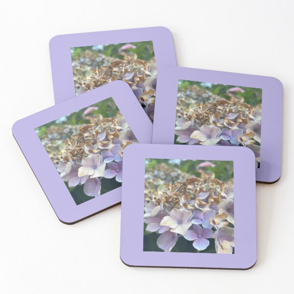 Item preview, Fading Hydrangea designed and sold by Pisces-Pics.