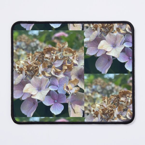 Item preview, Fading Hydrangea designed and sold by Pisces-Pics.