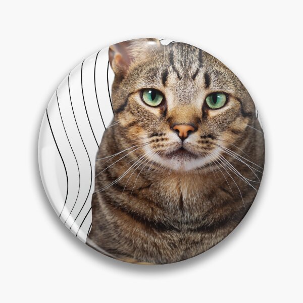 Item preview, striped cat designed and sold by jaquelinedejff.