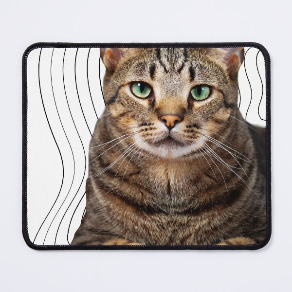 Item preview, striped cat designed and sold by jaquelinedejff.