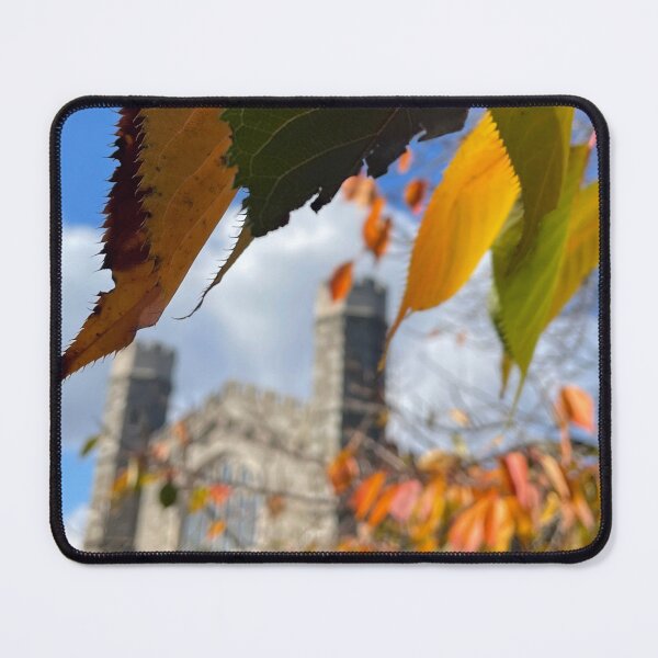 Item preview, Old Library in Autumn designed and sold by Pisces-Pics.