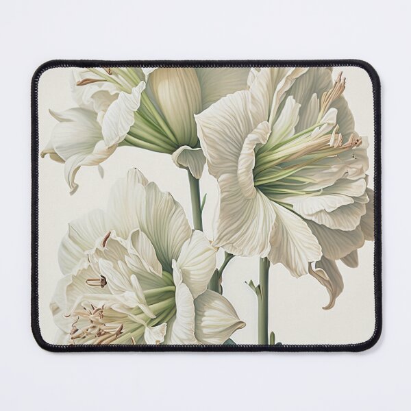 Item preview, White Amaryllis designed and sold by Vanover Designs.