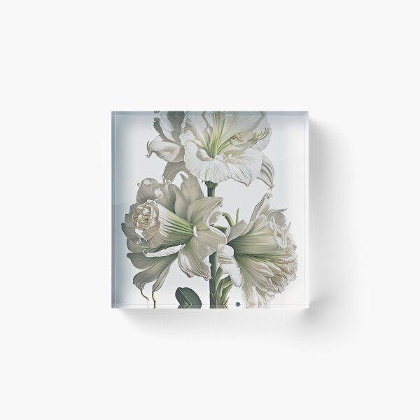 Item preview, White Amaryllis  designed and sold by Vanover Designs.