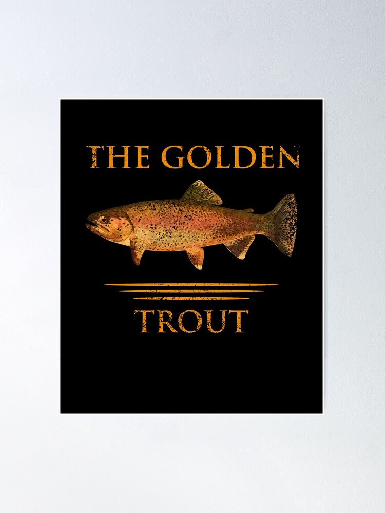 Rainbow Trout Fly Fishing print Poster for Sale by jakehughes2015