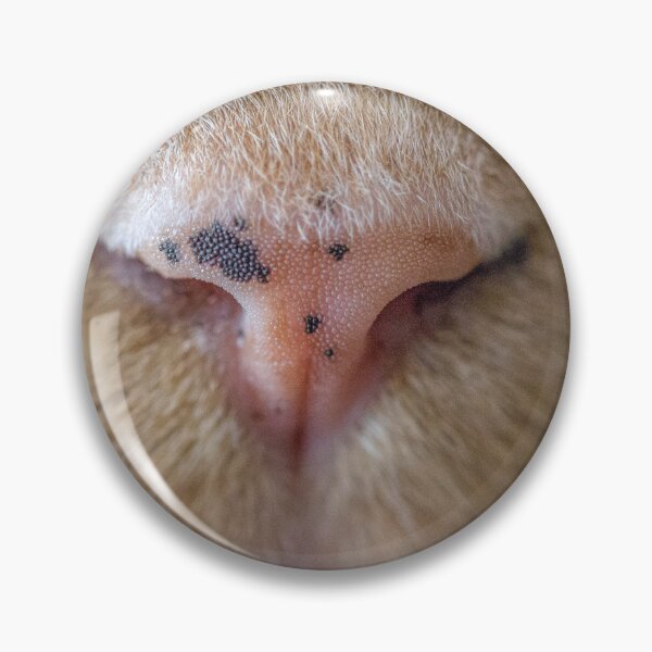 Item preview, Freckle Nose designed and sold by LOFPHOTOGRAPHY.