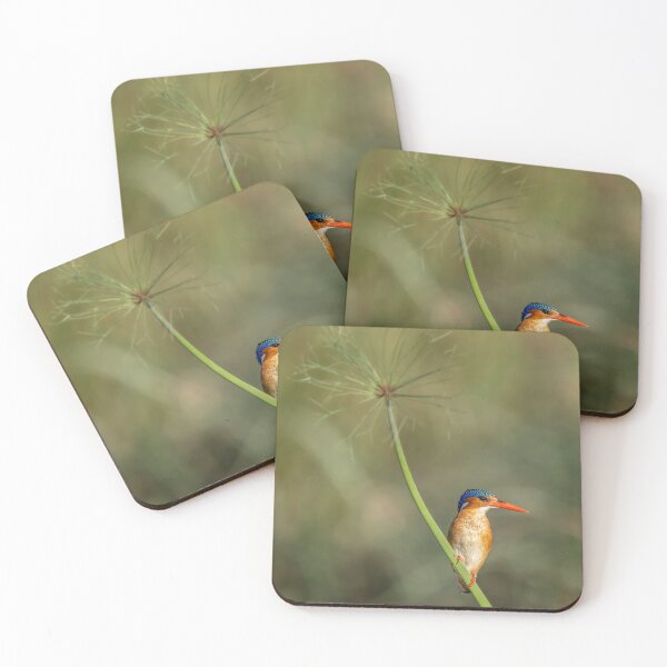 Item preview, Malachite Kingfisher Botswana Africa designed and sold by PhotoArt by Joan Carroll.