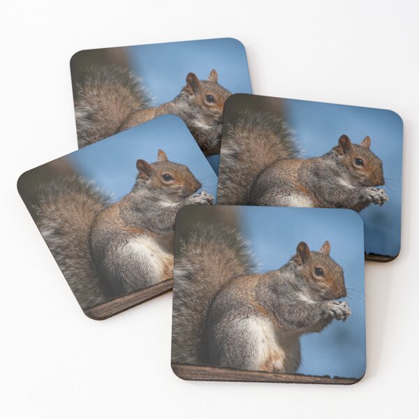 Item preview, Male Squirrel eating a nice nut designed and sold by StelleryART.