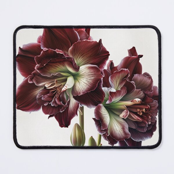 Item preview, Burgundy Amaryllis designed and sold by Vanover Designs.