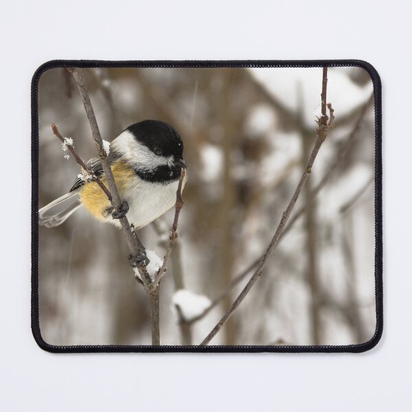 Item preview, Black-capped Chickadee designed and sold by LOFPHOTOGRAPHY.