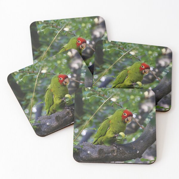Item preview, San Francisco's Crazy Parrots designed and sold by fototaker Tony.
