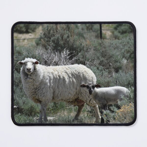Item preview, Sheep with Baby designed and sold by CaraEmery.