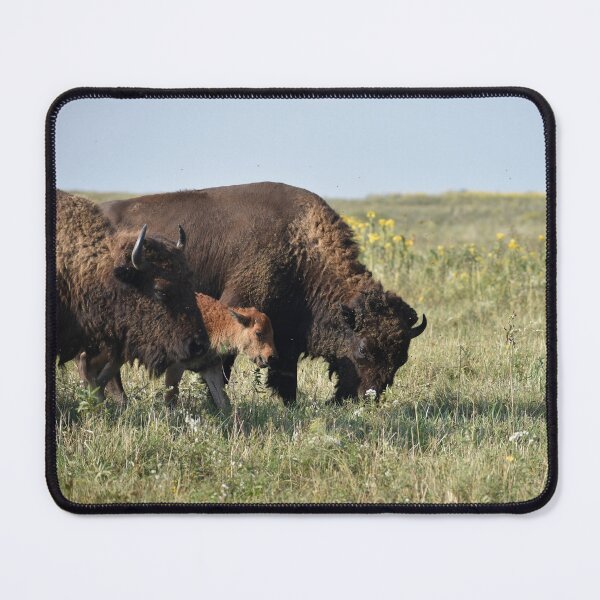 Item preview, Bison with Baby designed and sold by CaraEmery.