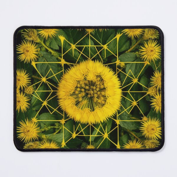 Item preview, Dandelions — 10 designed and sold by ddaiart.