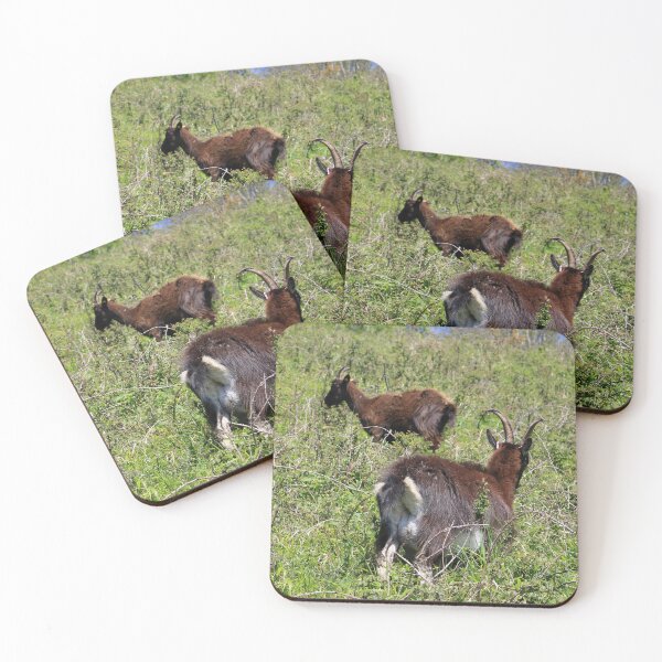 Item preview, Pastoreo de cabras primitivas designed and sold by pinkal.