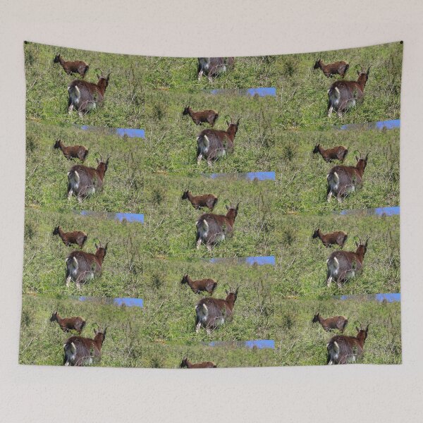 Item preview, Pastoreo de cabras primitivas designed and sold by pinkal.