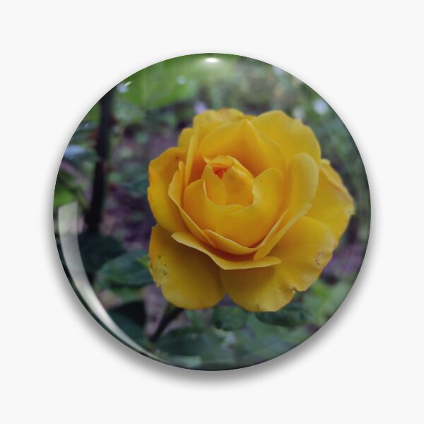 Item preview, yellow rose designed and sold by Gourmetkater.