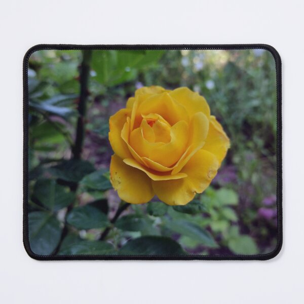 Item preview, yellow rose designed and sold by Gourmetkater.