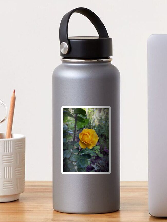 Thumbnail 1 von 3, Sticker, Gelbe Rose designt und verkauft von Gourmetkater.