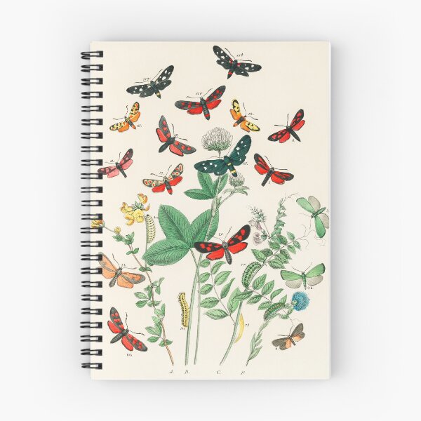 Item preview, Vintage Butterfly and Flower Wall Art designed and sold by Sintija BILIKA.