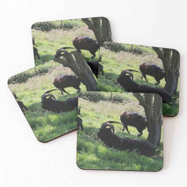 Item preview, Cabras en Ventnor Downs designed and sold by pinkal.