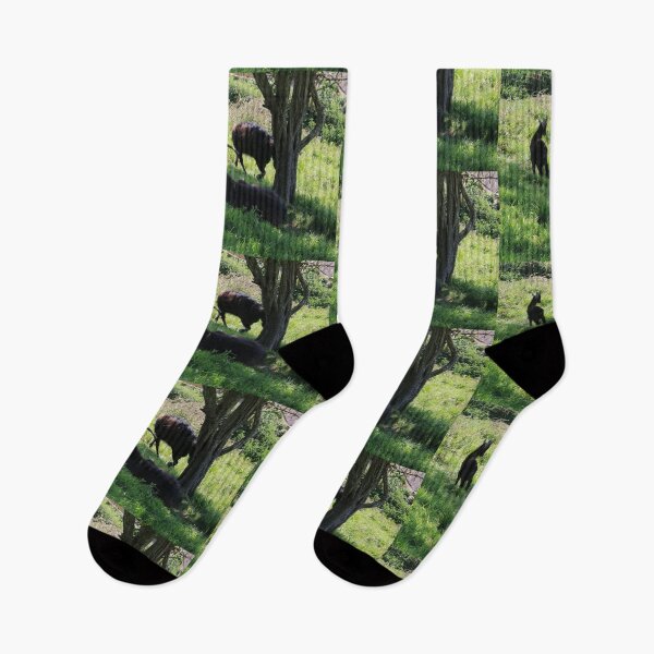 Item preview, Goats on Ventnor Downs designed and sold by pinkal.
