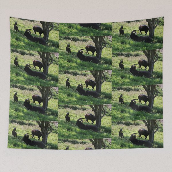 Item preview, Goats on Ventnor Downs designed and sold by pinkal.