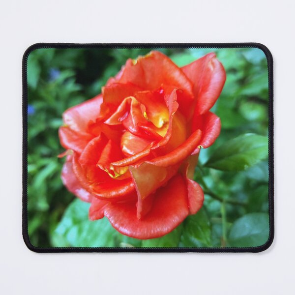 Item preview, rose in the rain designed and sold by Gourmetkater.