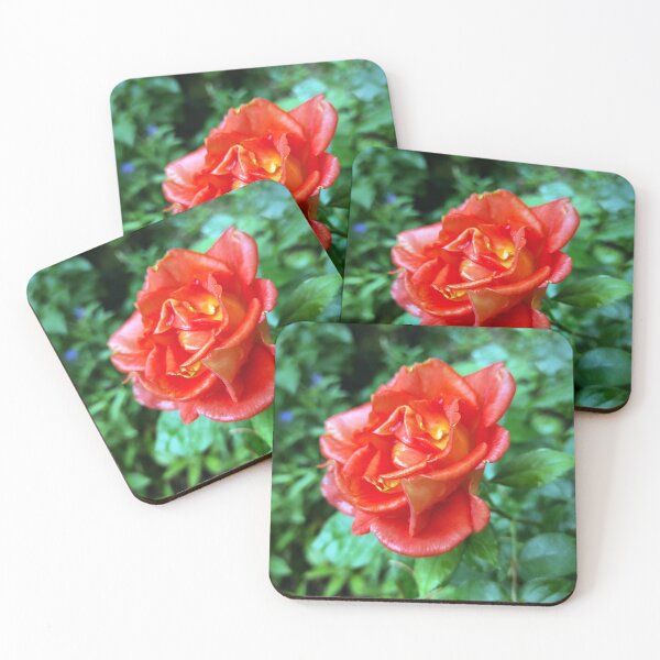 Item preview, rose in the rain designed and sold by Gourmetkater.