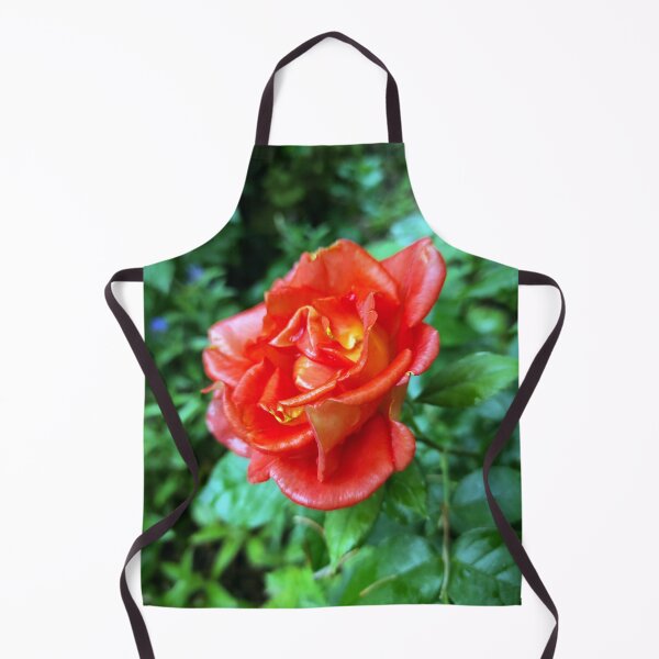 Item preview, rose in the rain designed and sold by Gourmetkater.