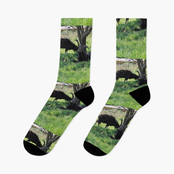 Item preview, familia de cabras designed and sold by pinkal.