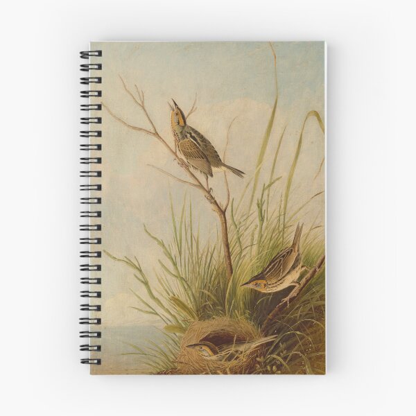 Item preview, Sharp-Tailed Finch designed and sold by CaraEmery.