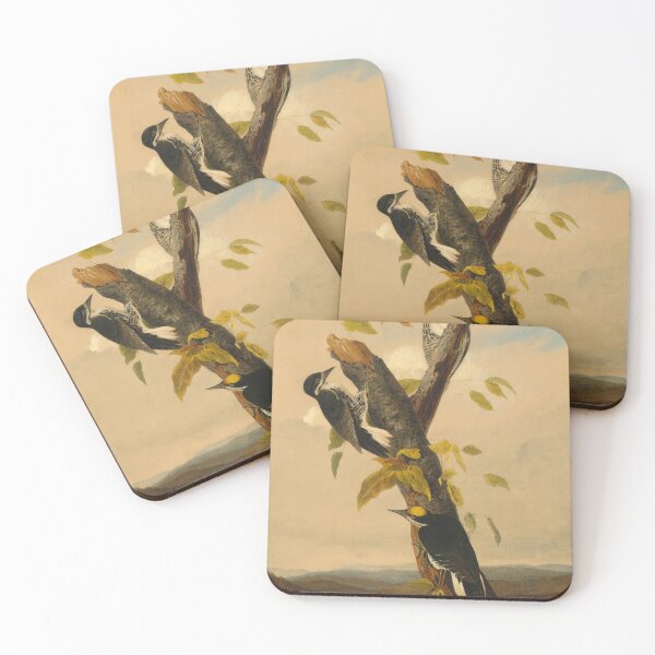 Item preview, Black-Backed Three-Toed Woodpecker Illustation designed and sold by CaraEmery.