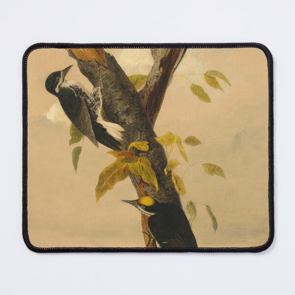 Item preview, Black-Backed Three-Toed Woodpecker Illustation designed and sold by CaraEmery.