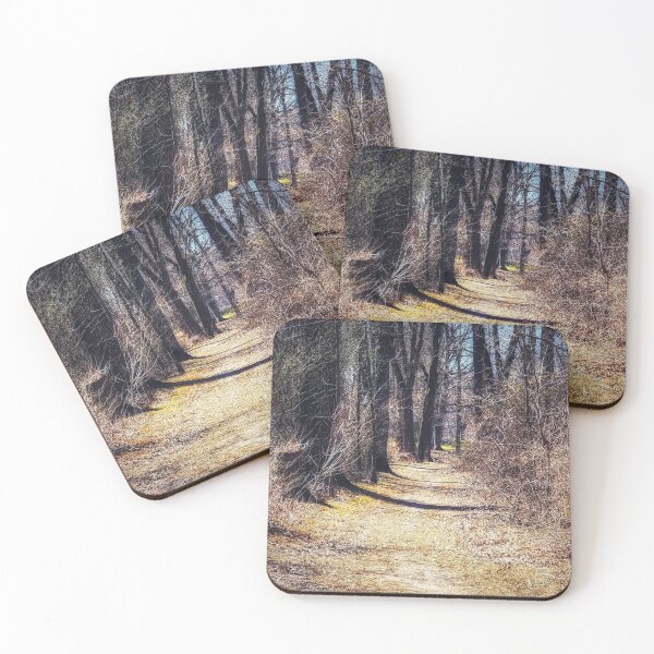 Item preview, Walking Path in the Woods designed and sold by SXW Designs.