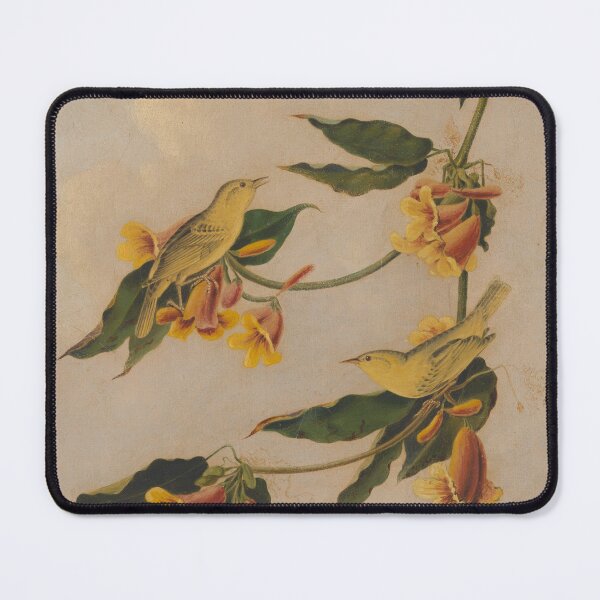 Item preview, Yellow Warbler Illustration designed and sold by CaraEmery.
