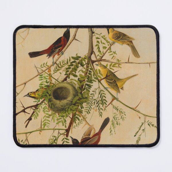 Item preview, Orchard Oriole designed and sold by CaraEmery.