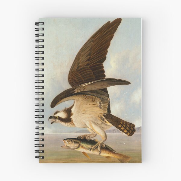 Item preview, Osprey with Weakfish designed and sold by CaraEmery.