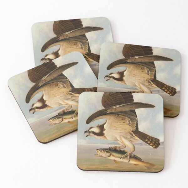 Item preview, Osprey with Weakfish designed and sold by CaraEmery.