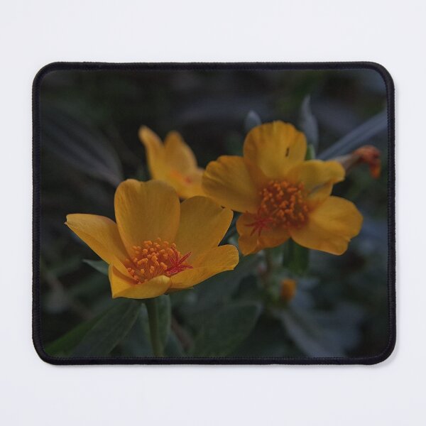 Item preview, From my garden-1 designed and sold by PaintedWithLove.