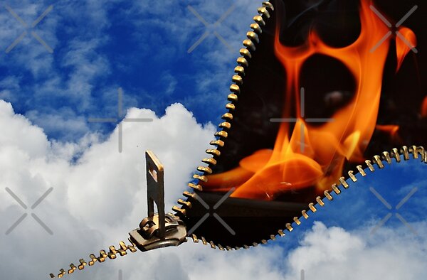 Open Fly Zone  by PERRY ESTELLE | Redbubble