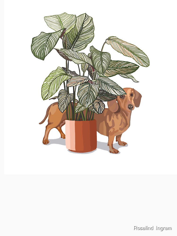 Thumbnail 7 of 7, Classic T-Shirt, Dachshund sausage dog with house plant designed and sold by rosalindjelbert.