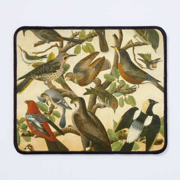 Item preview, Birds Illustration designed and sold by CaraEmery.