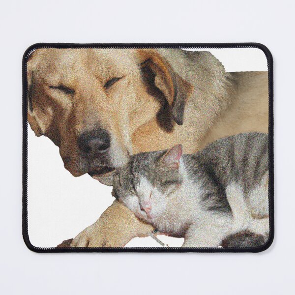 Item preview, Dog Sleeping With Cat designed and sold by bwalkama.