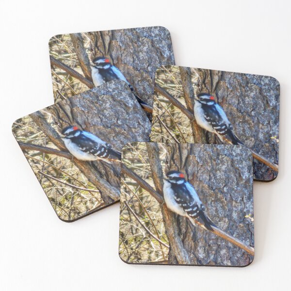 Item preview, Downy Woodpecker Making the Point! designed and sold by SXW Designs.