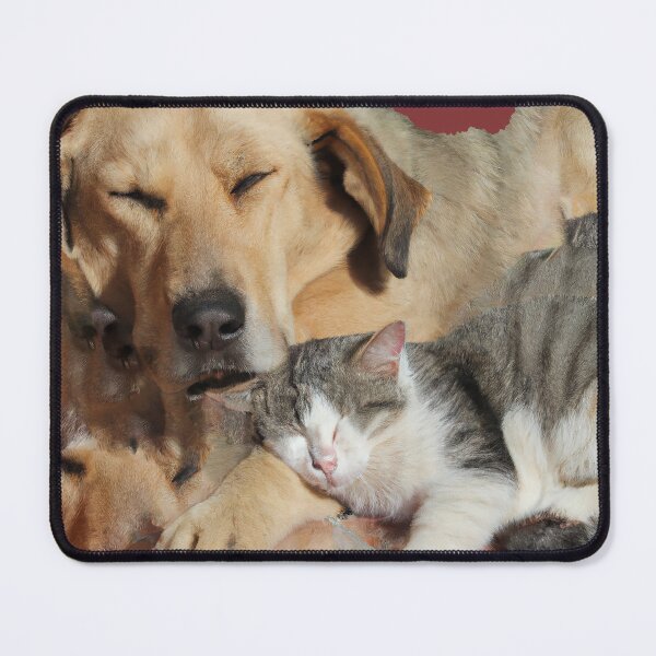Item preview, Car Sleeping With Dog designed and sold by bwalkama.